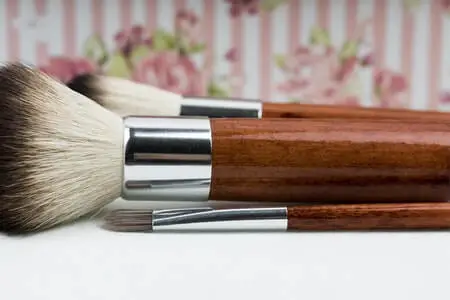 What Animal Hair is Used for Paint Brushes?